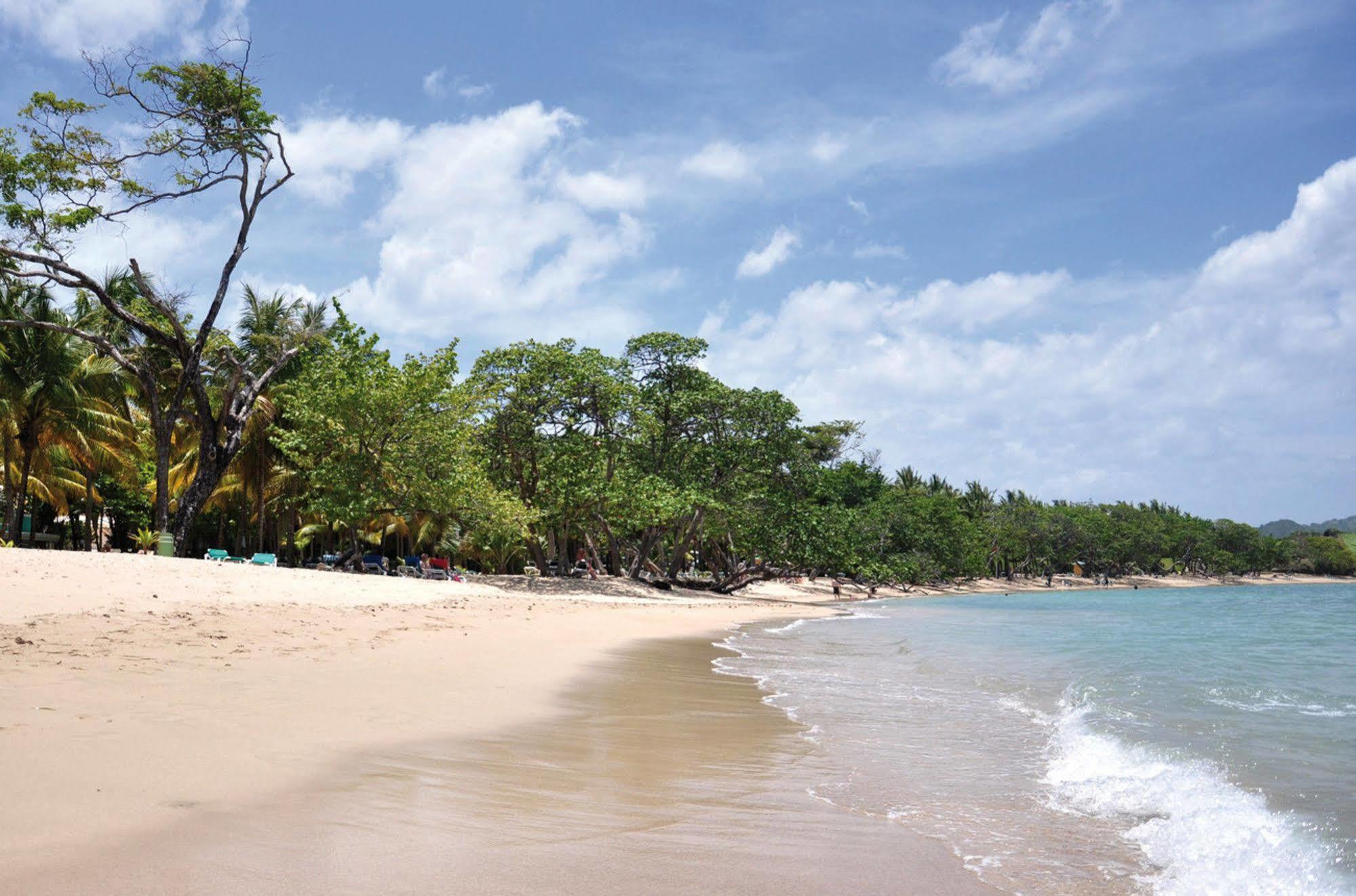 فندق Senator Puerto Plata Vip المظهر الخارجي الصورة